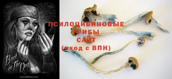 ешки Беломорск