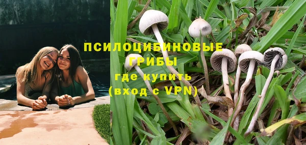 MESCALINE Белокуриха