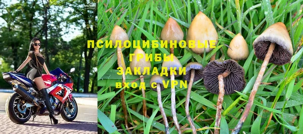 2c-b Белоозёрский