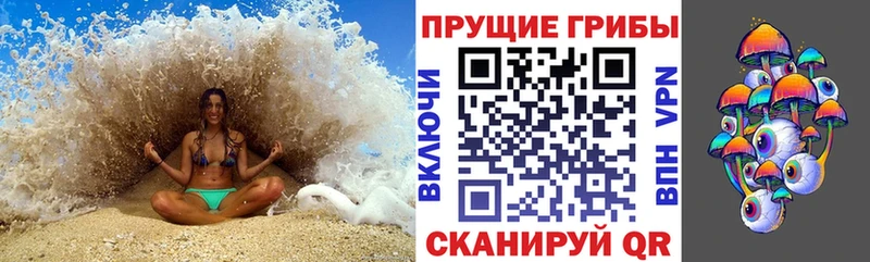 купить закладку Кольчугино Псилоцибиновые грибы мухоморы